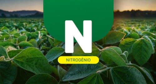 Nitrogênio: conheça as principais funções desse macronutriente